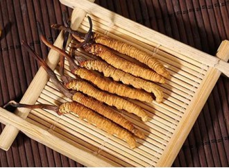 As a precious biological resource, what are the benefits of Cordyceps extract polysaccharides?