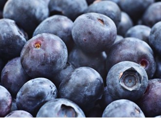 How does bilberry extract protect the eyes?