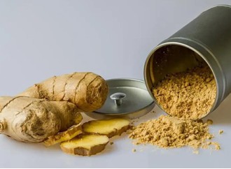 Ginger root extract gingerol may provide these benefits