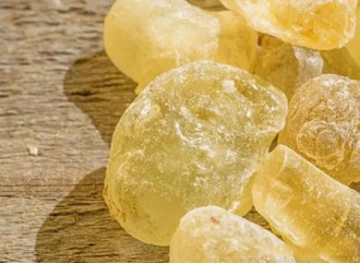 Boswellia Extract Uses and Benefits for Healing