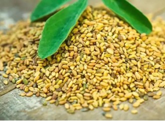 Fenugreek Seeds: An Herb With Health Benefits