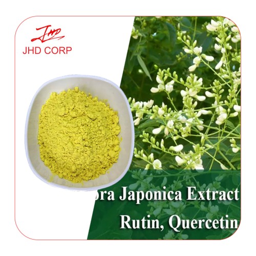 Sophora Japonica Extract--Quercetin