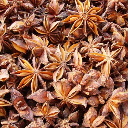 Star anise extract 