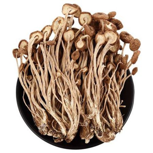  Tea Tree Mushrooms Extract