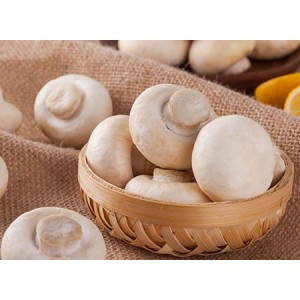 White Button Mushroom Extract