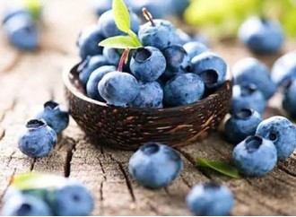Why recommend supplementing bilberry extract anthocyanins for eye protection?