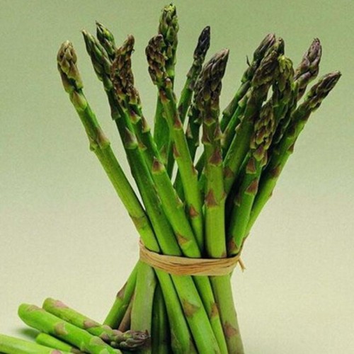 Asparagus Officinalis Extract 