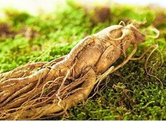 Ginseng Root Extract: A Rare Skincare Ingredient