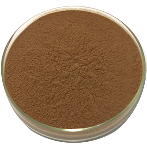 Uva Ursi Extract Straight Powder（Normal & Organic）