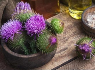 What is the development prospect of milk thistle extract in the liver protection market?