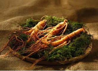 What are the health benefits of ginsenoside, the active ingredient in ginseng extract?