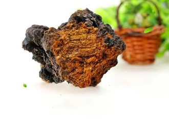 What are the beneficial ingredients in chaga extract, which are being chased by everyone?