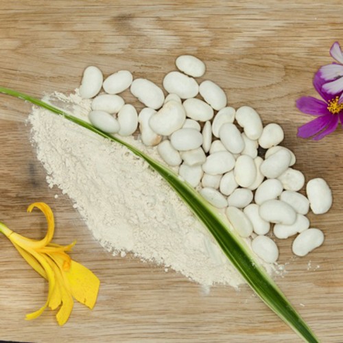 White Kidney Bean Extract Powder