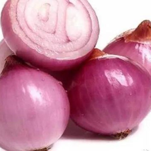 Onion Extract