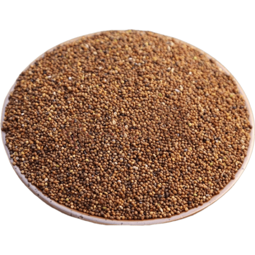 Water Soluble Dodder Seed Extract Cuscuta Chinensis Extract