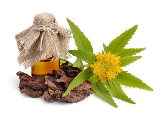 Rhodiola Rosea Extract: Natural Supplements to Improve Physical and Mental Performance