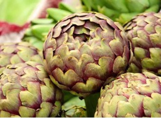 What are the health benefits of artichoke extract as a liver protection ingredient?