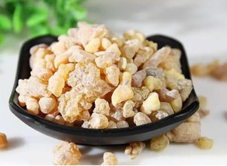 Research on Boswellia Extract in the Field of Gastrointestinal Health