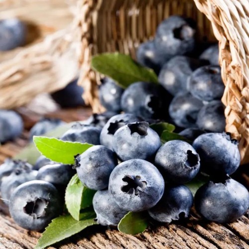 Anthocyanins 25% Blueberry Extract