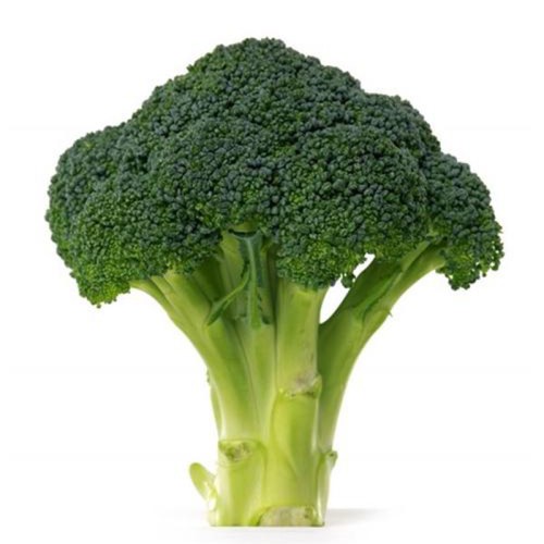 Broccoli Extract 10:1 TLC