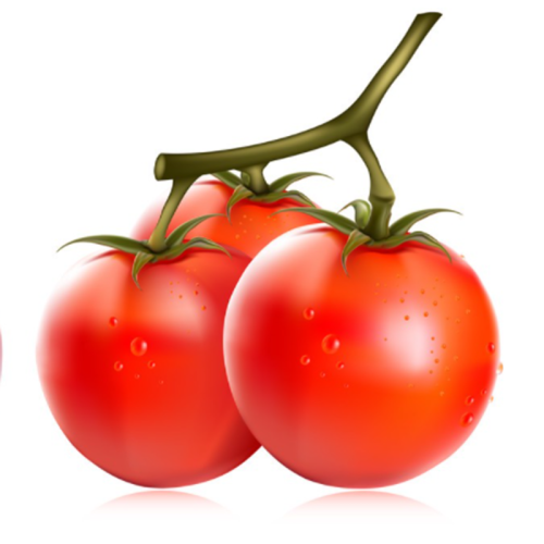 Tomato Extract Lycopene 6%