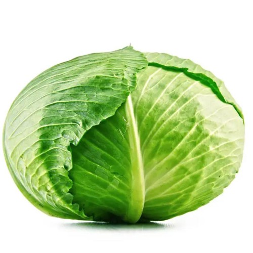 Cabbage Extract