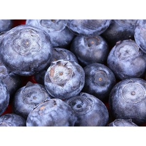 Bilberry Extract For Eyes