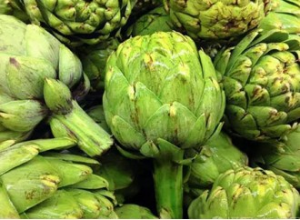 Can artichoke extract supplement be used for a long time? 