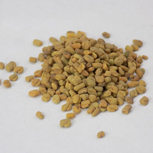 Fenugreek Seed Extract