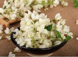 Main chemical constituents and efficacy of Sophora japonica extract