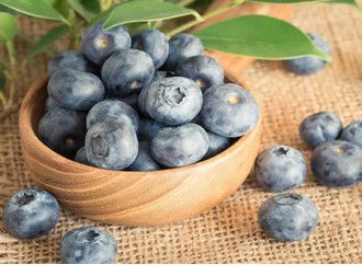 Why is blueberry recommended by the World Food and Agriculture Organization as a healthy fruit? 