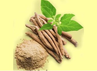 New application of ashwagandha extract in sports nutrition: enhancing limb strength and accelerating sports recovery