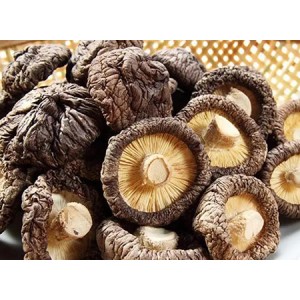 Shiitake Mushroom Extract AHCC For HPV