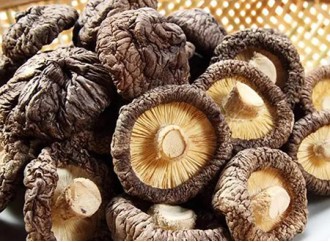 Does Shiitake Mushroom Extract AHCC Help Treat HPV?