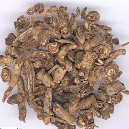 Picrorhiza Extract