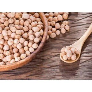 Chickpea Protein