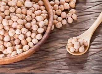 What are the advantages of the vegetarian favorite chickpea protein?