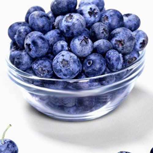 Blueberry Extract Pterostilbene