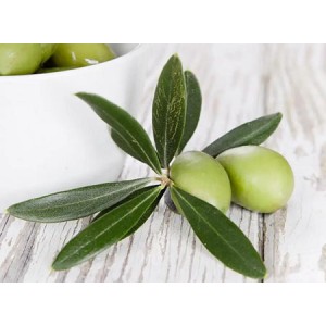 Olive Leaf Extract