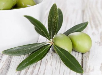 Can Olive Leaf Extract Supplementation Improve Vascular Health?