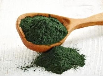 Why are spirulina extracts and related supplements known as the most nutrient-dense foods?