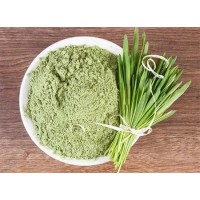 Health Benefits of Barley Grass Powder