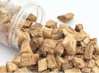 What are the effects of regular consumption of kudzu root extract powder on the body?