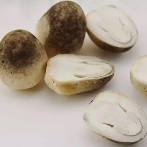 Straw Mushroom Extract