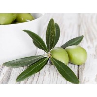 Olive Leaf Extract Oleuropein Powder