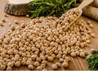 Can chickpea protein help with weight loss? How about the heat?