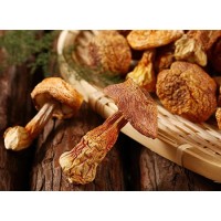 Why is Agaricus Blazei Mushroom Extract Called "Natural Insulin"?