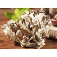 Function and health application of polysaccharide from maitake mushroom extract