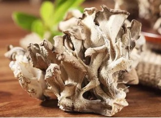 Function and health application of polysaccharide from maitake mushroom extract