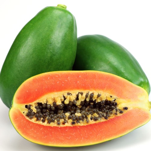 Green Papaya Fruit Powder